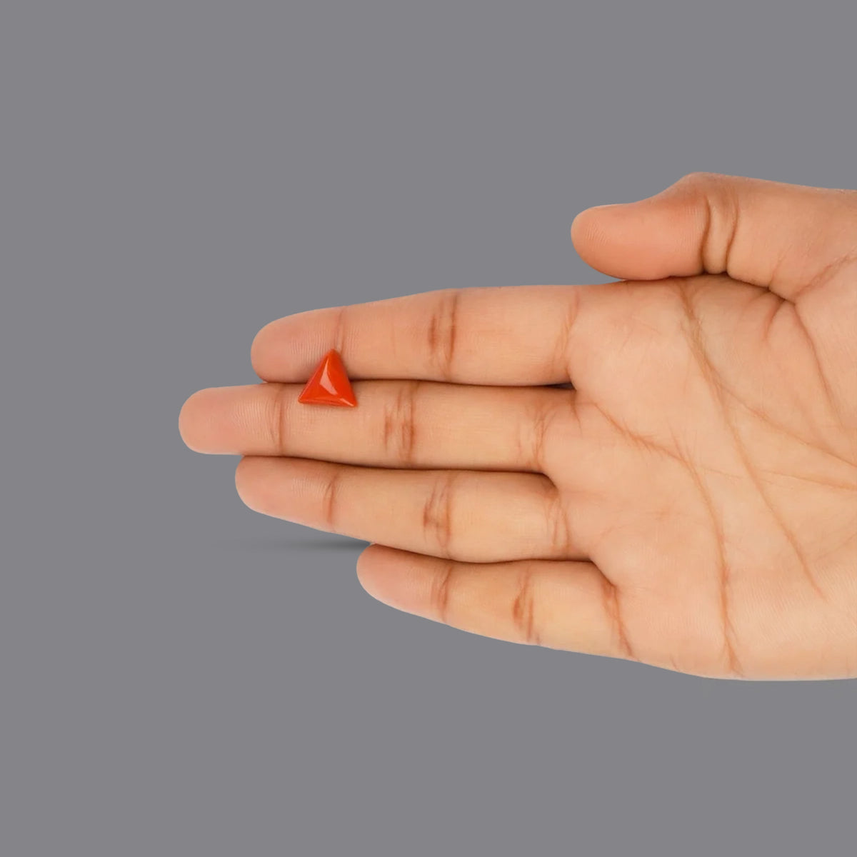 Red Coral - 3.21 Carats