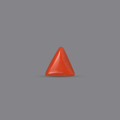 Red Coral - 3.66 Carats