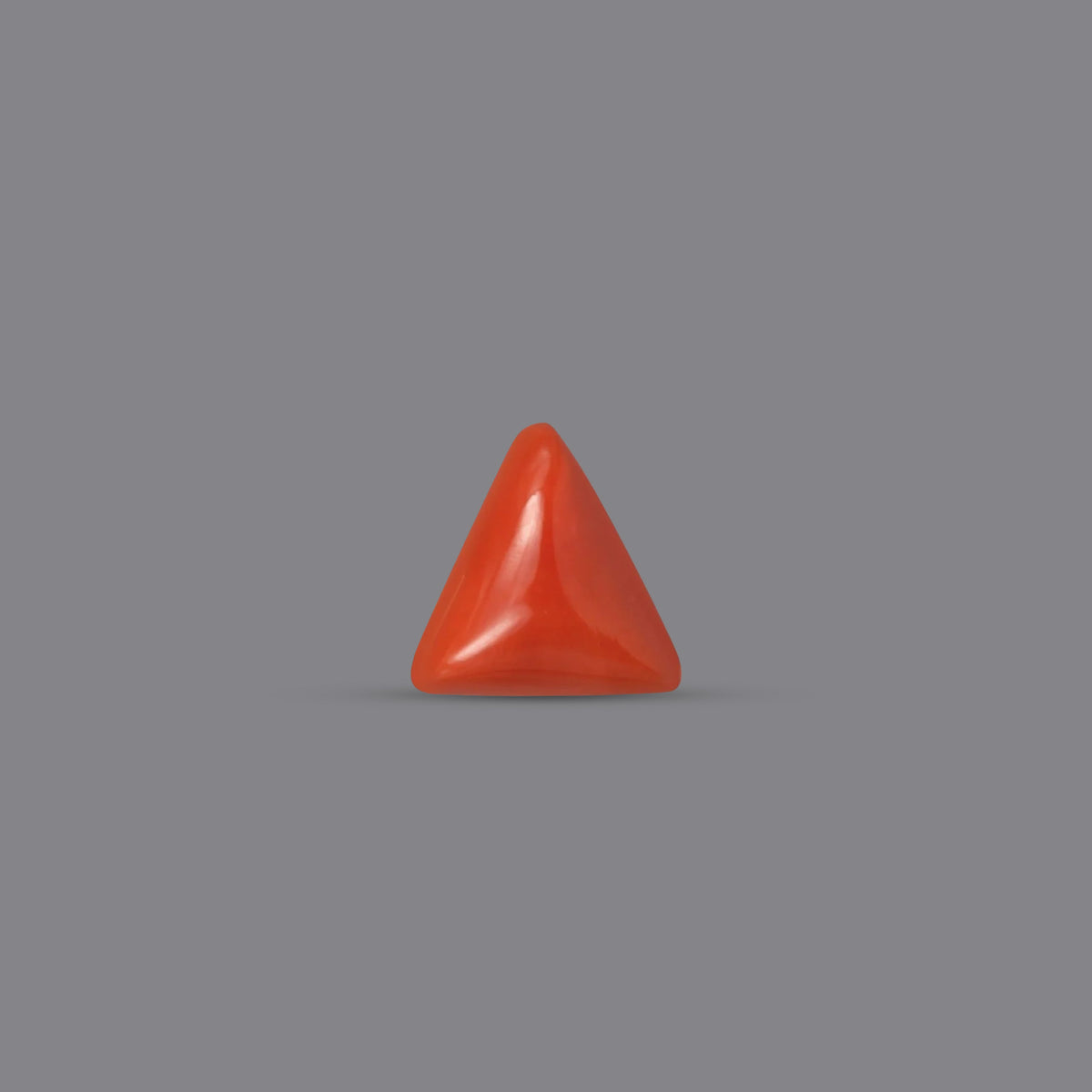 Red Coral - 3.66 Carats
