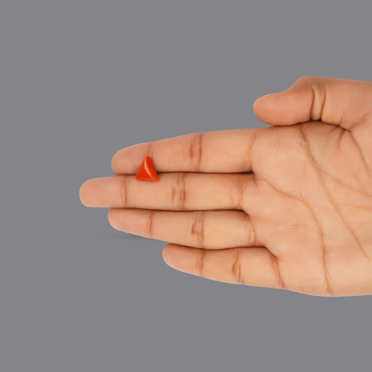 Red Coral - 3.66 Carats
