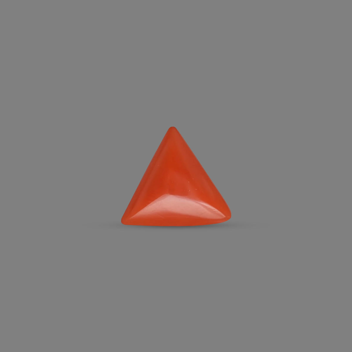 Red Coral - 4.04 Carats