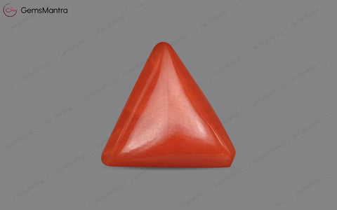 Red Coral - 4.15 Carats