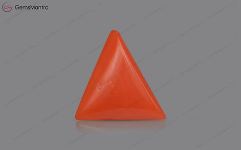 Red Coral - 4.87 Carats