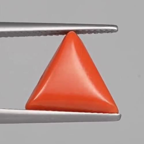 Red Coral - 4.72 Carats – original product close-up 2