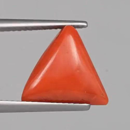 Red Coral - 4.94 Carats – original product close-up 1