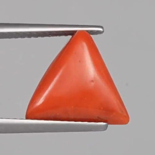 Red Coral - 4.94 Carats – original product close-up 2