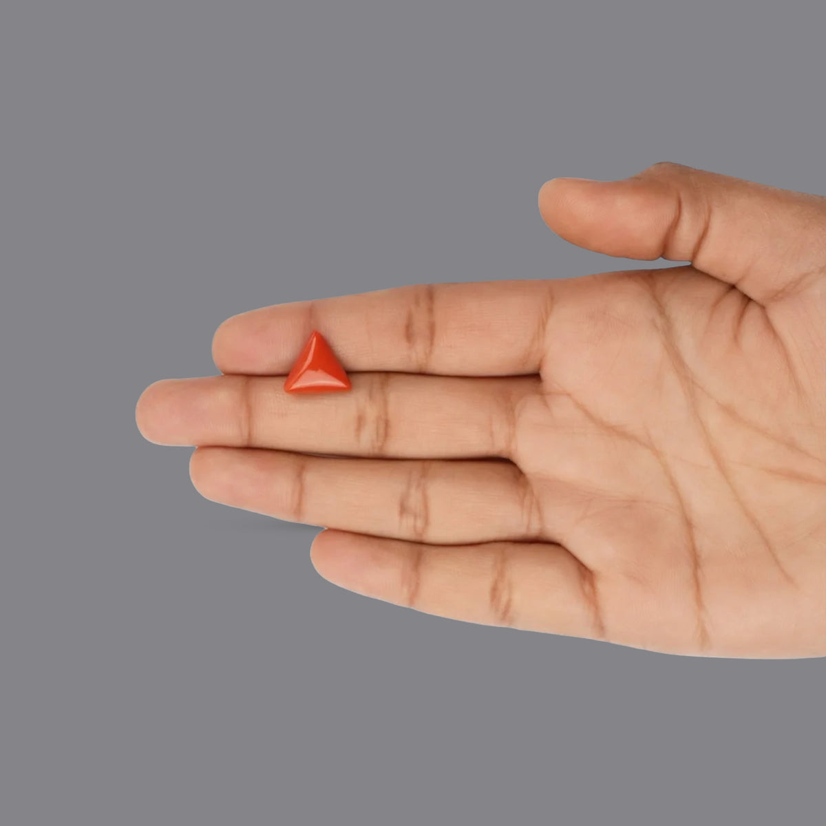 Red Coral - 4.57 Carats