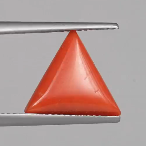 Red Coral - 4.82 Carats – original product close-up 1