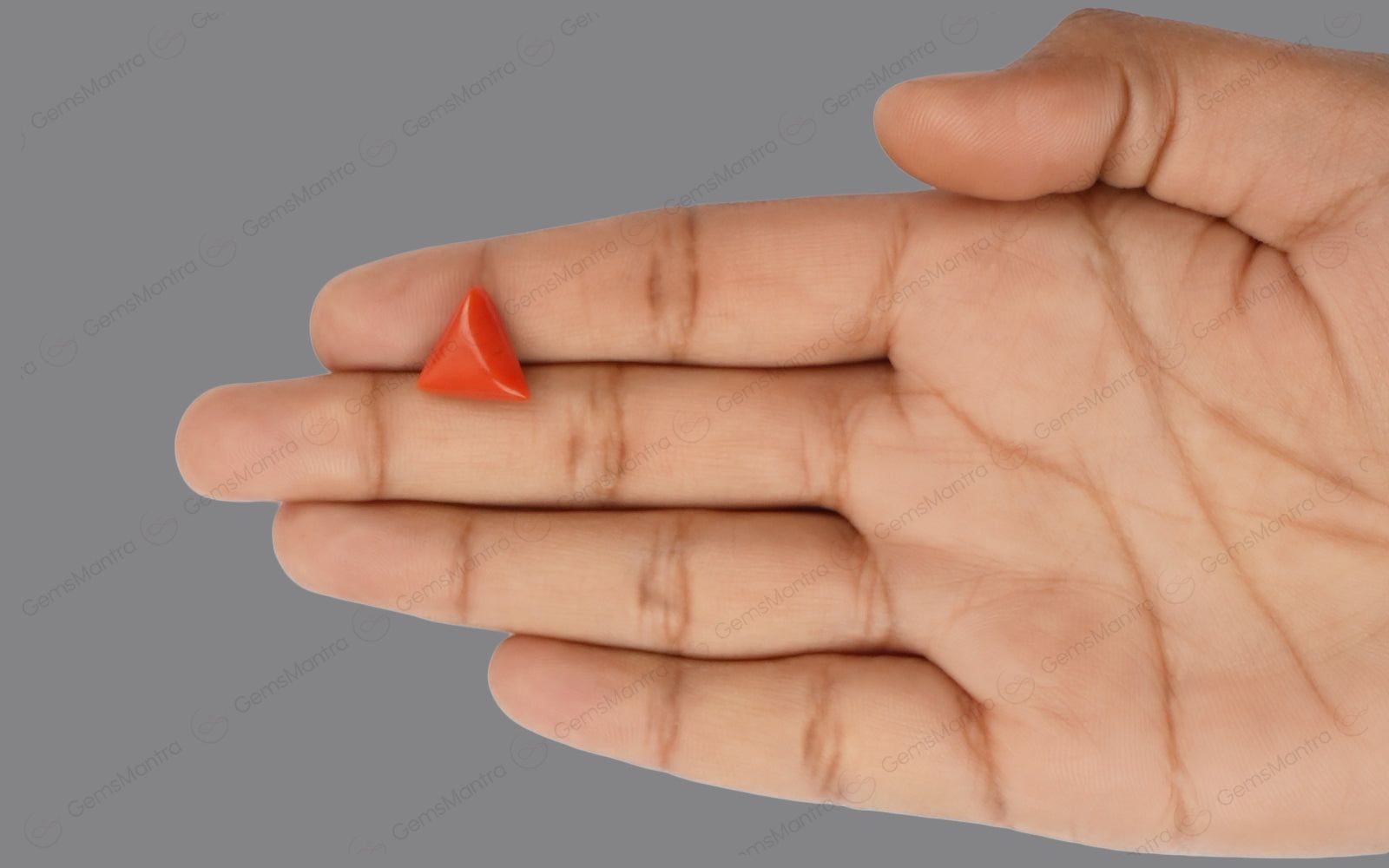 Red Coral - 5.57 Carats