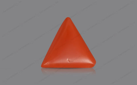 Red Coral - 4.65 Carats