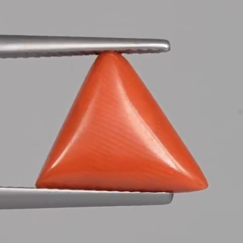 Red Coral - 4.92 Carats – original product close-up 2