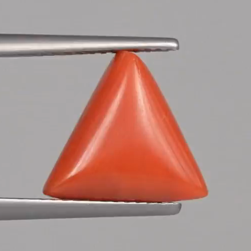 Red Coral - 4.92 Carats – original product close-up 1