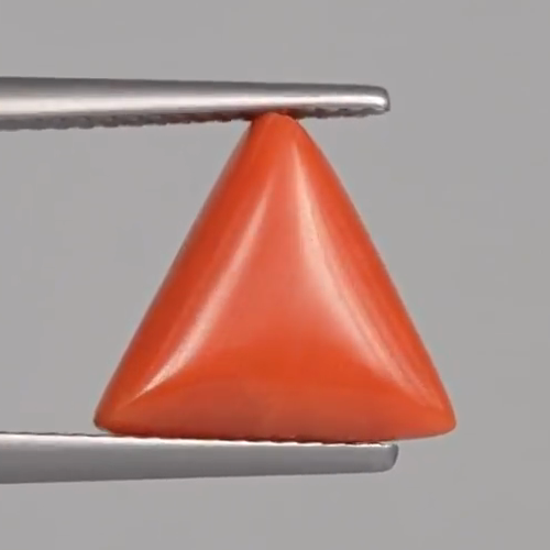 Red Coral - 4.92 Carats – original product close-up 2