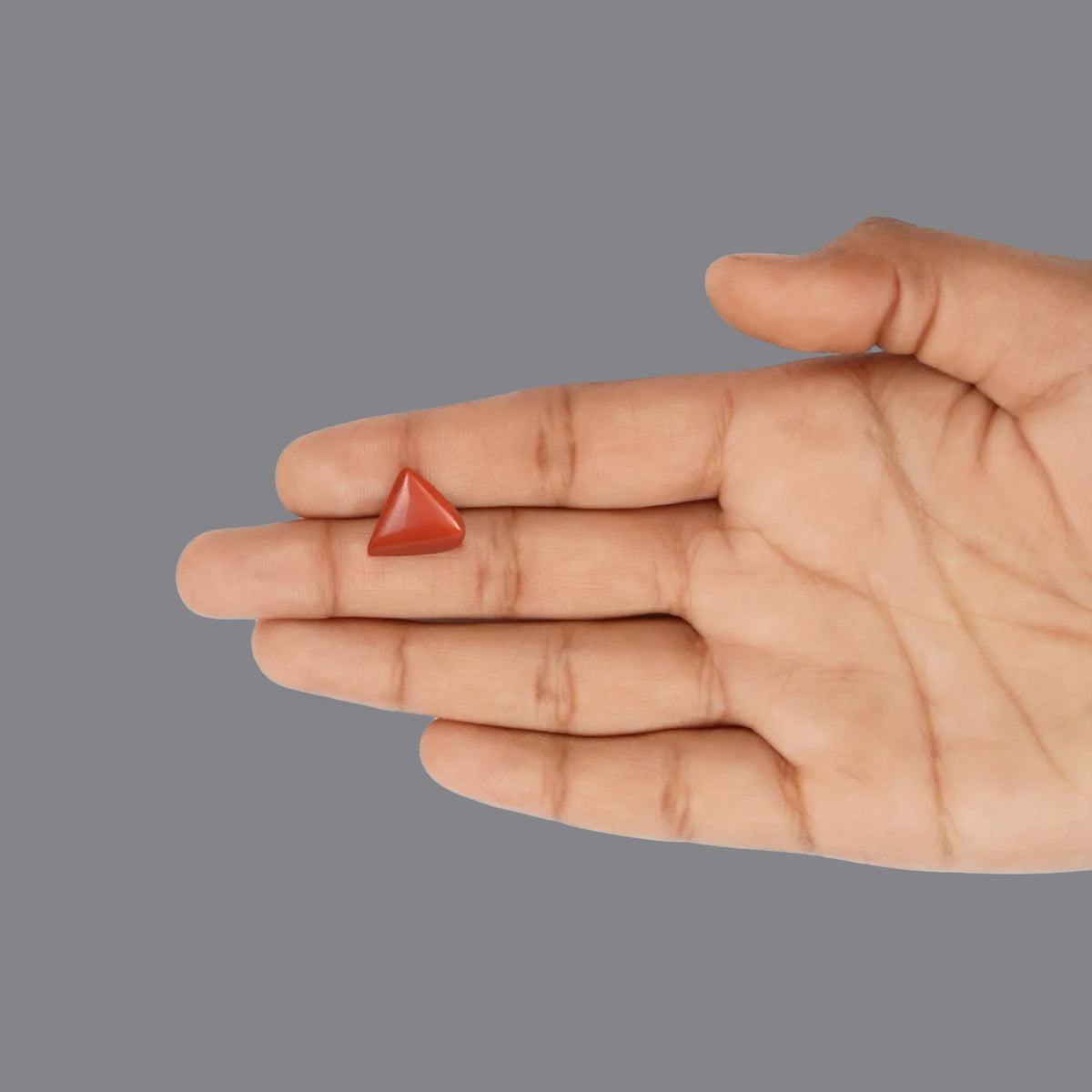 Red Coral - 4.76 Carats