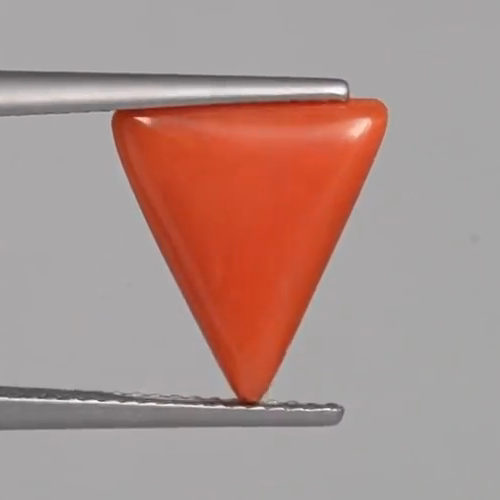 Red Coral - 4.38 Carats – original product close-up 3