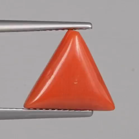 Red Coral - 4.7 Carats