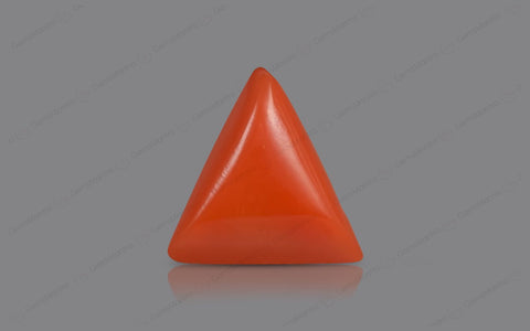 Red Coral - 5.12 Carats