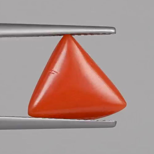 Red Coral - 5.05 Carats – original product close-up 1