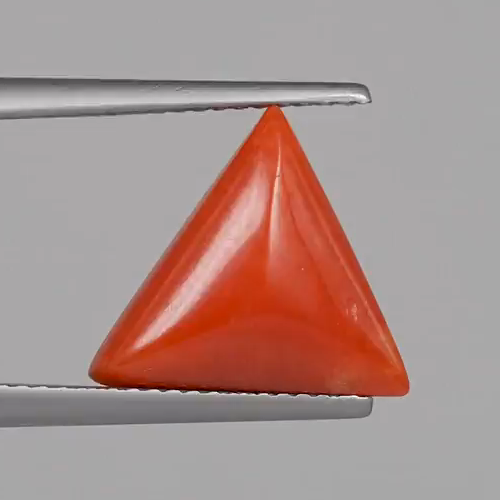 Red Coral - 5.04 Carats – original product close-up 1