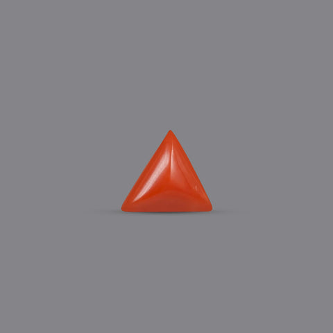 Red Coral - 5.04 Carats