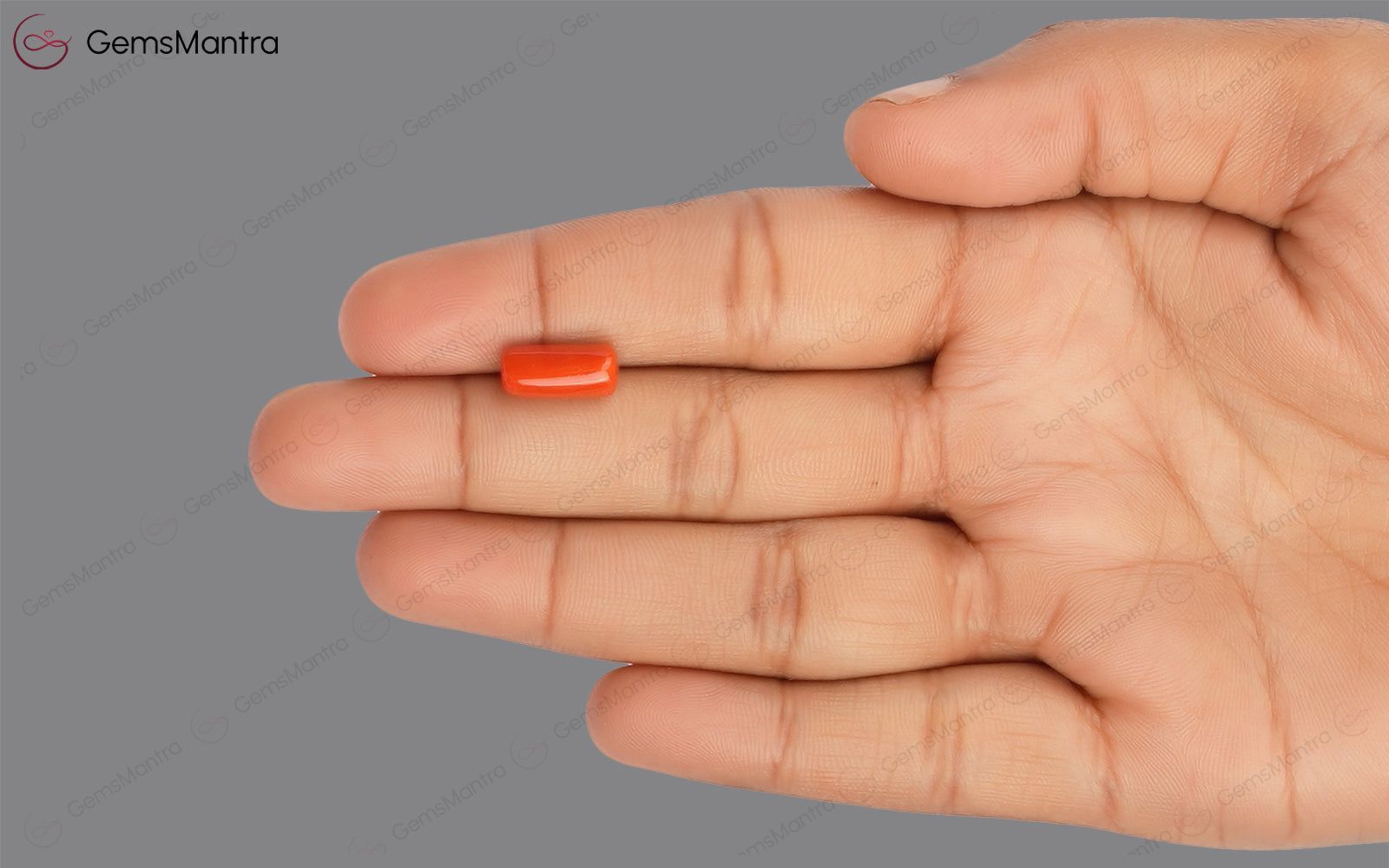 Red Coral - 3.5 Carats