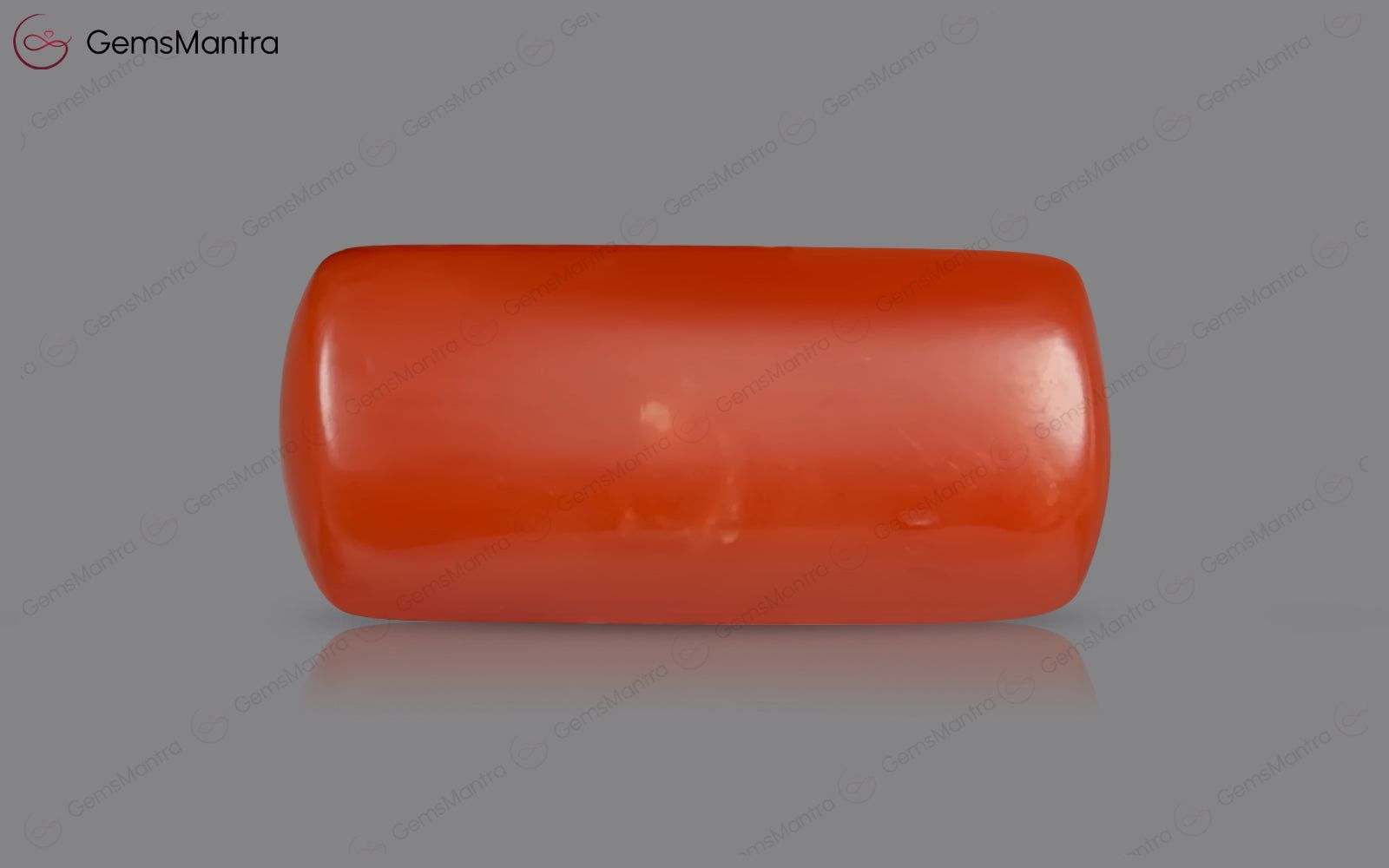 Red Coral - 3.41 Carats