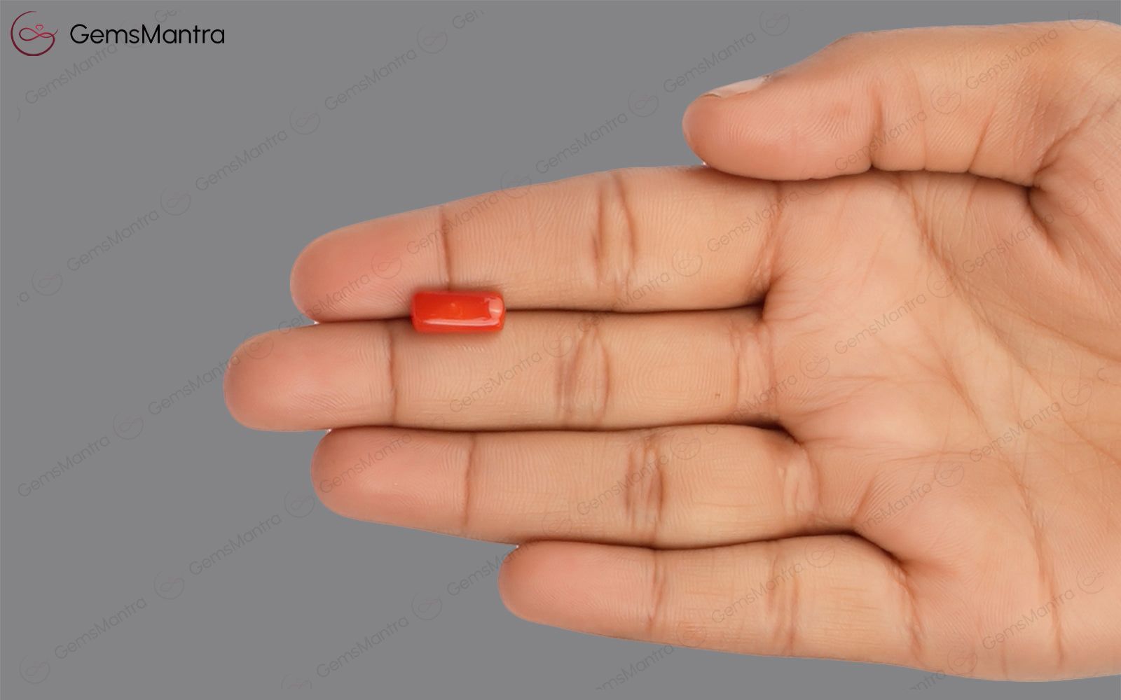 Red Coral - 3.41 Carats