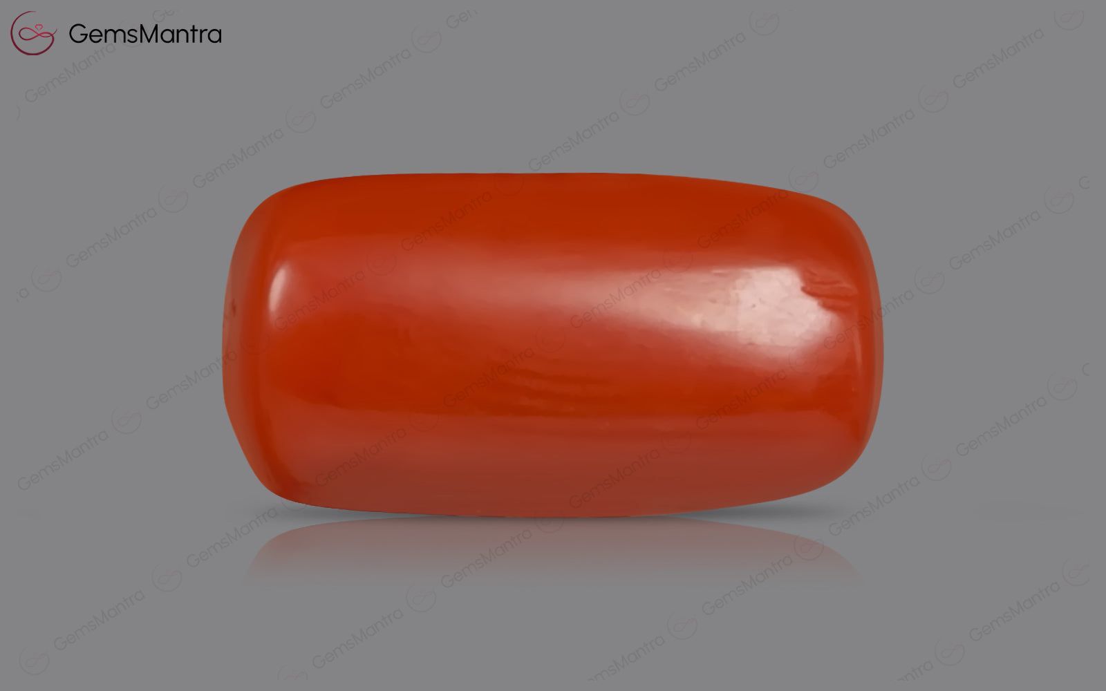 Red Coral - 3.53 Carats