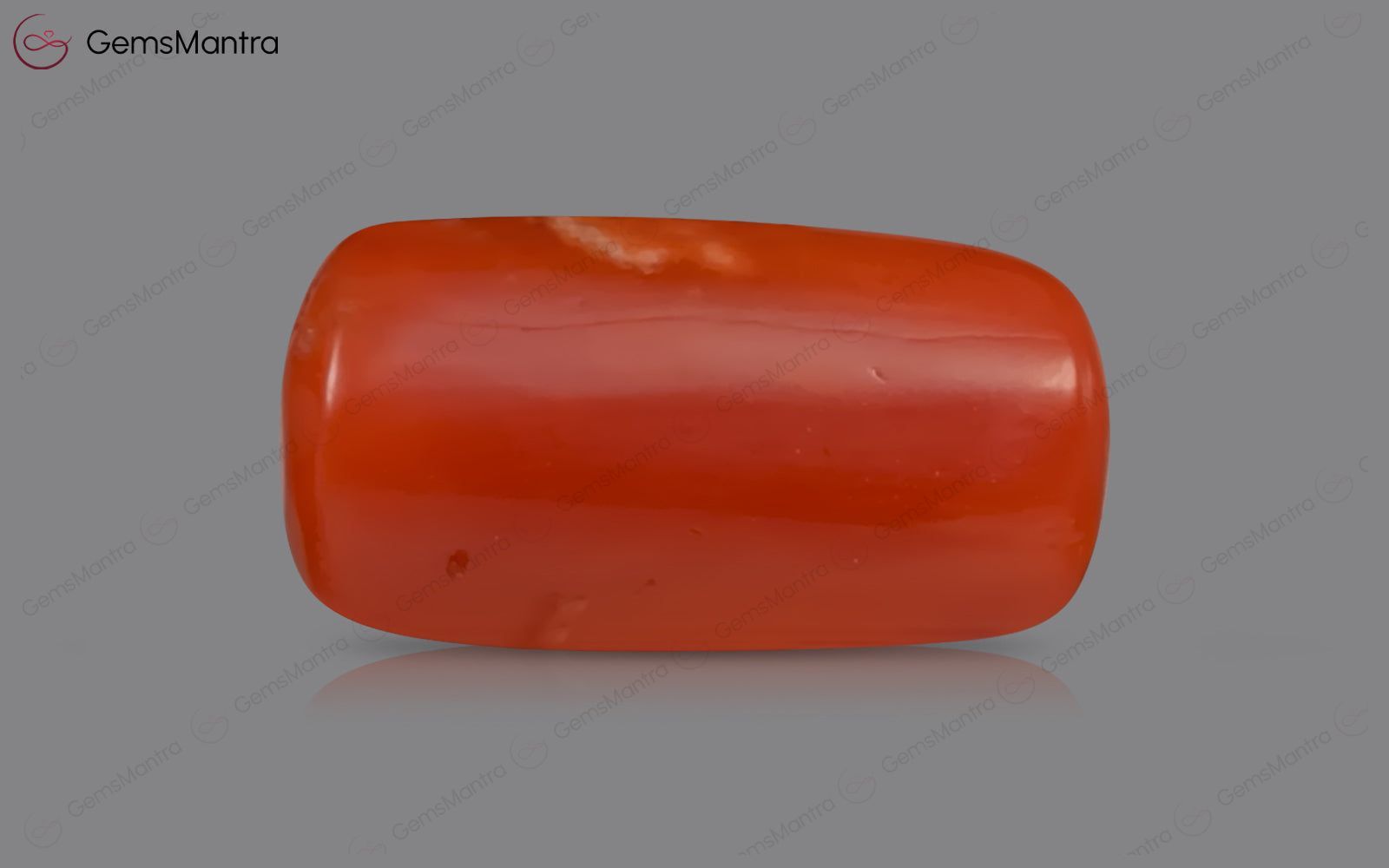 Red Coral - 3.53 Carats