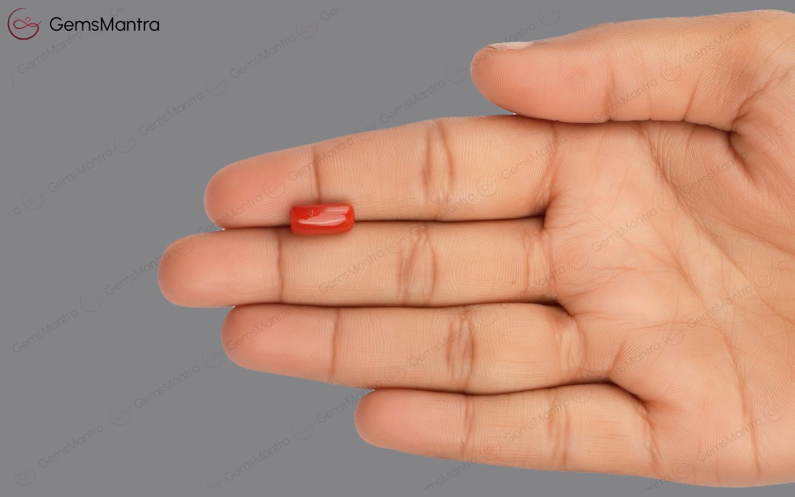 Red Coral - 3.53 Carats