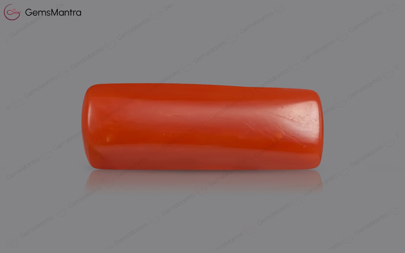 Red Coral - 3.56 Carats