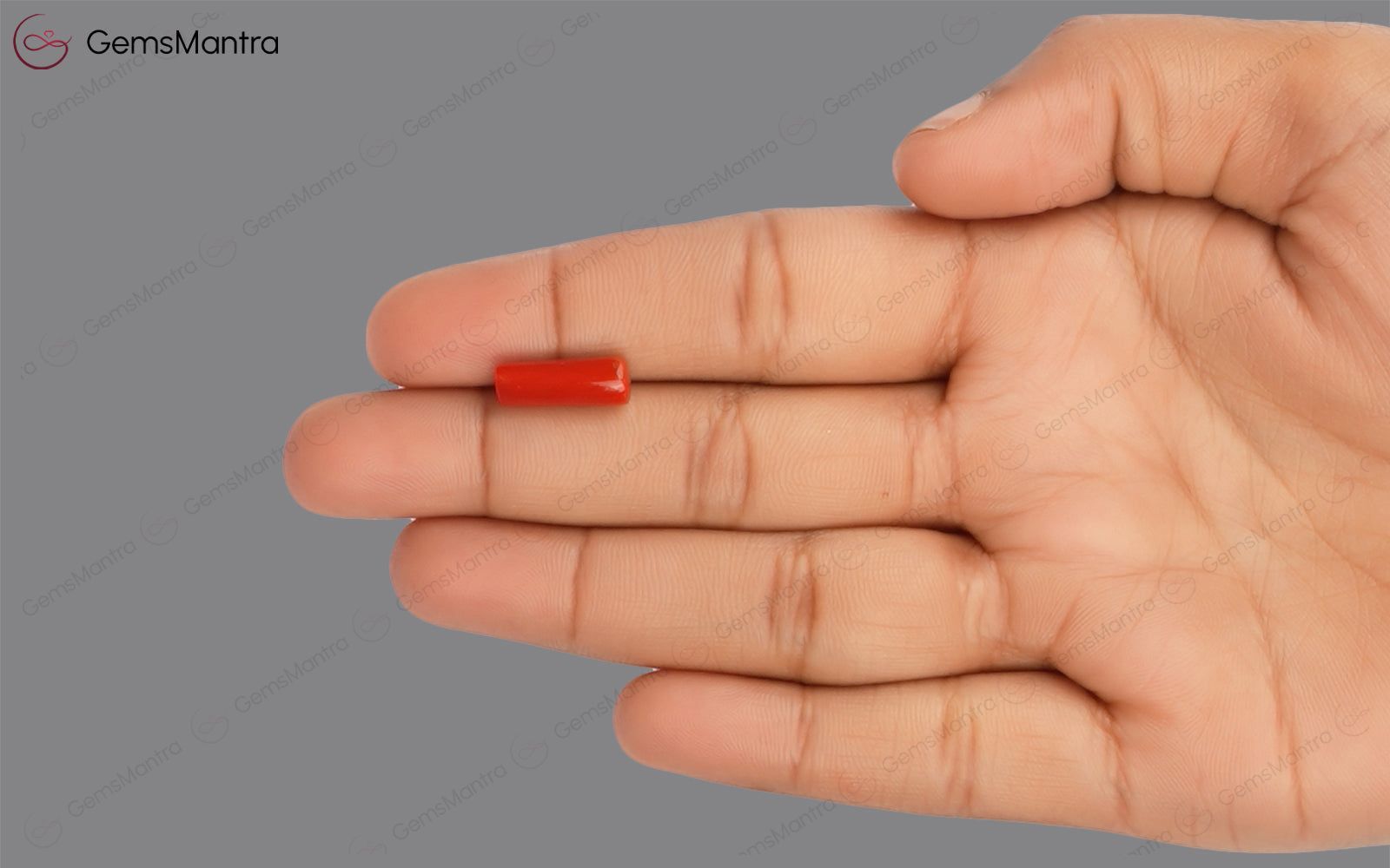 Red Coral - 3.56 Carats