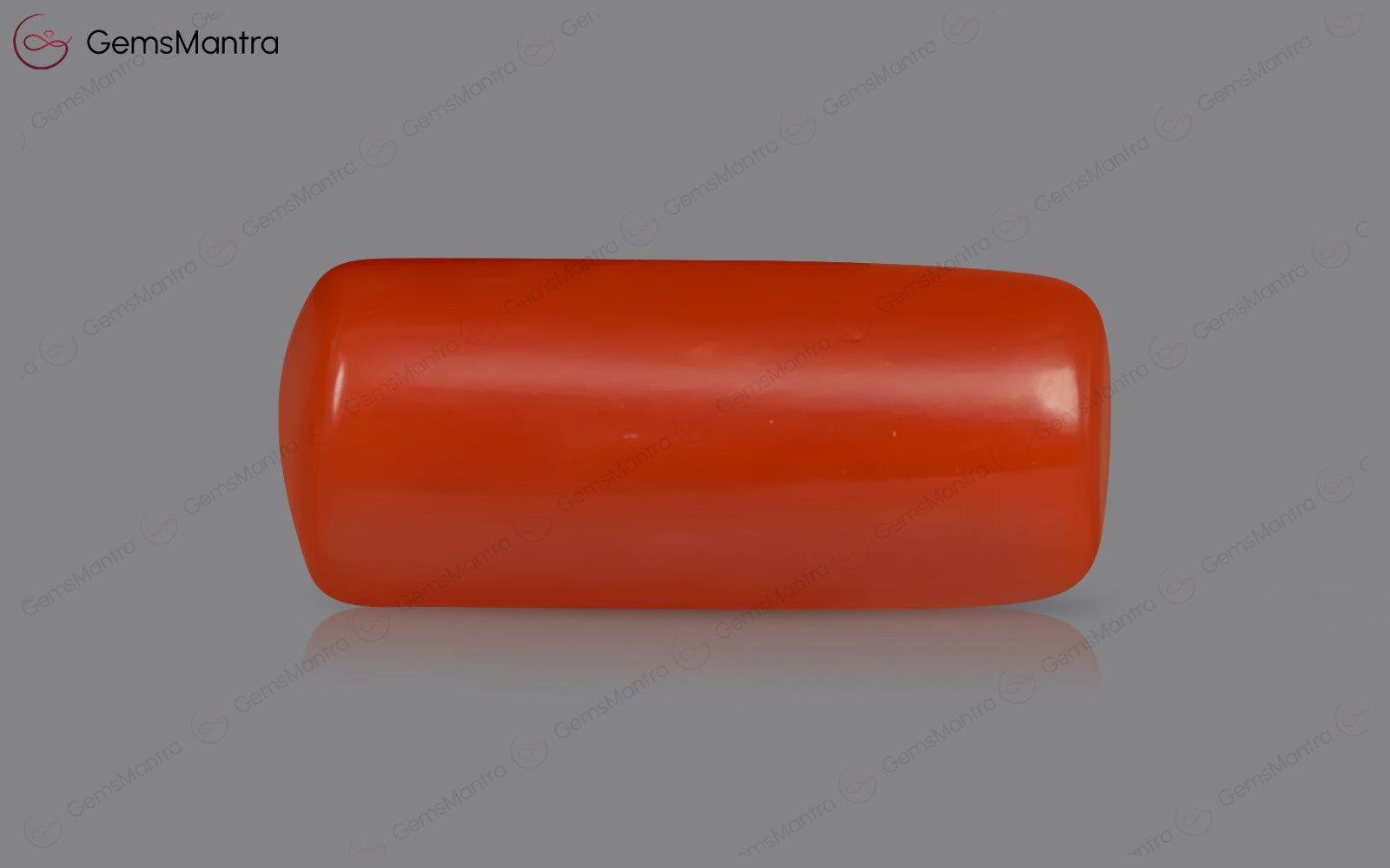 Red Coral - 3.49 Carats