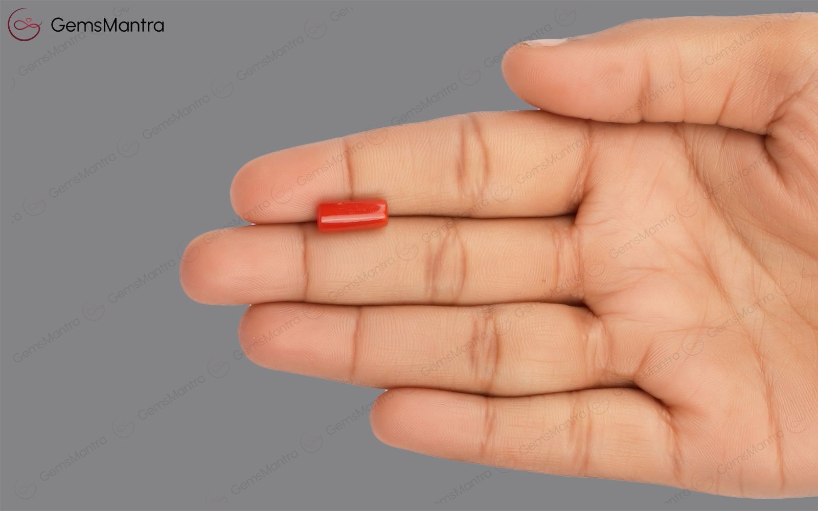 Red Coral - 3.49 Carats