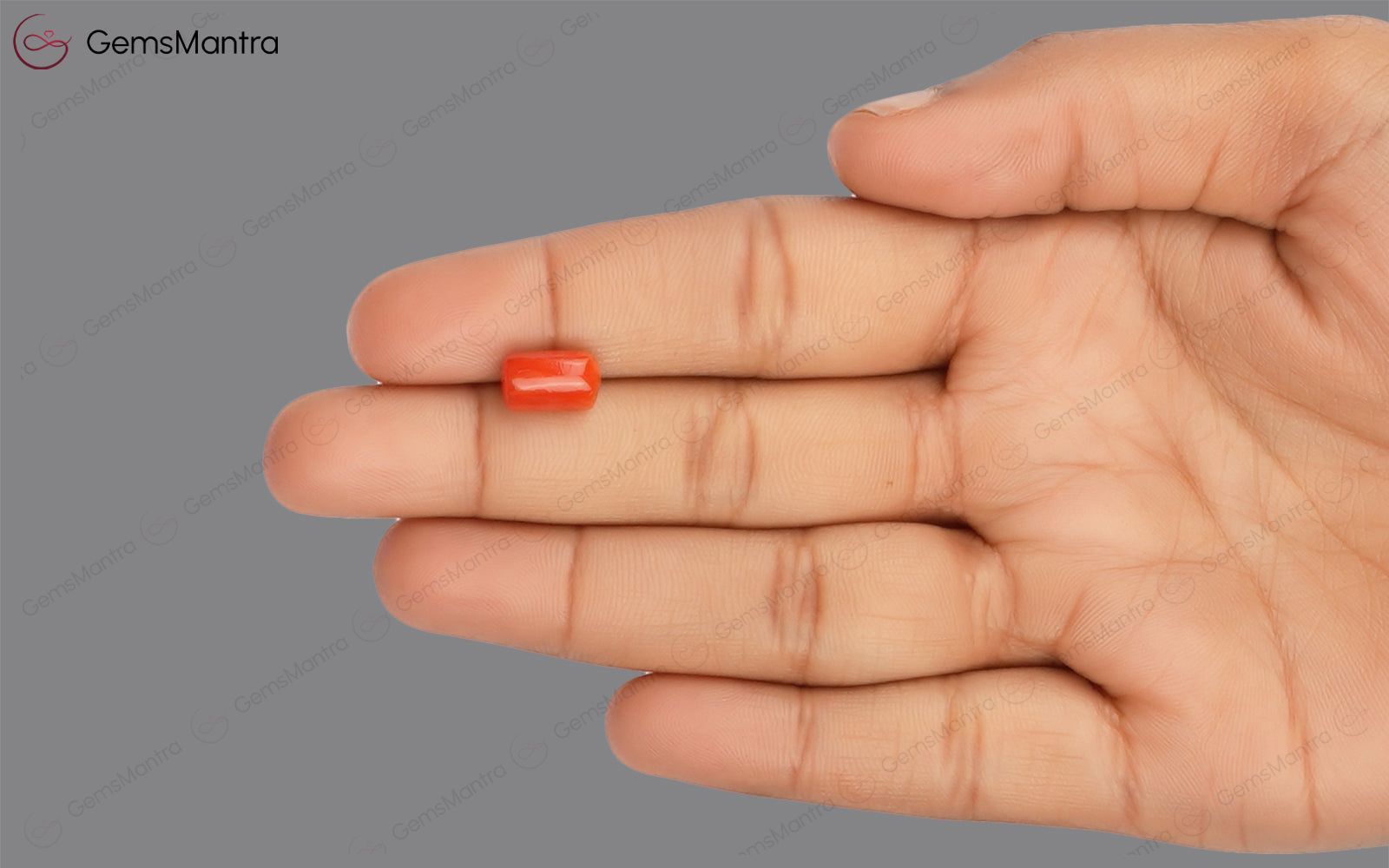 Red Coral - 3.57 Carats