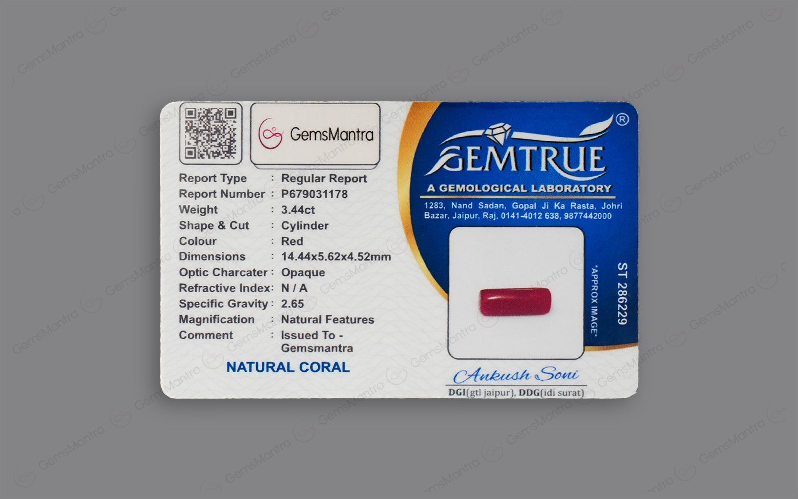 Red Coral - 3.44 Carats