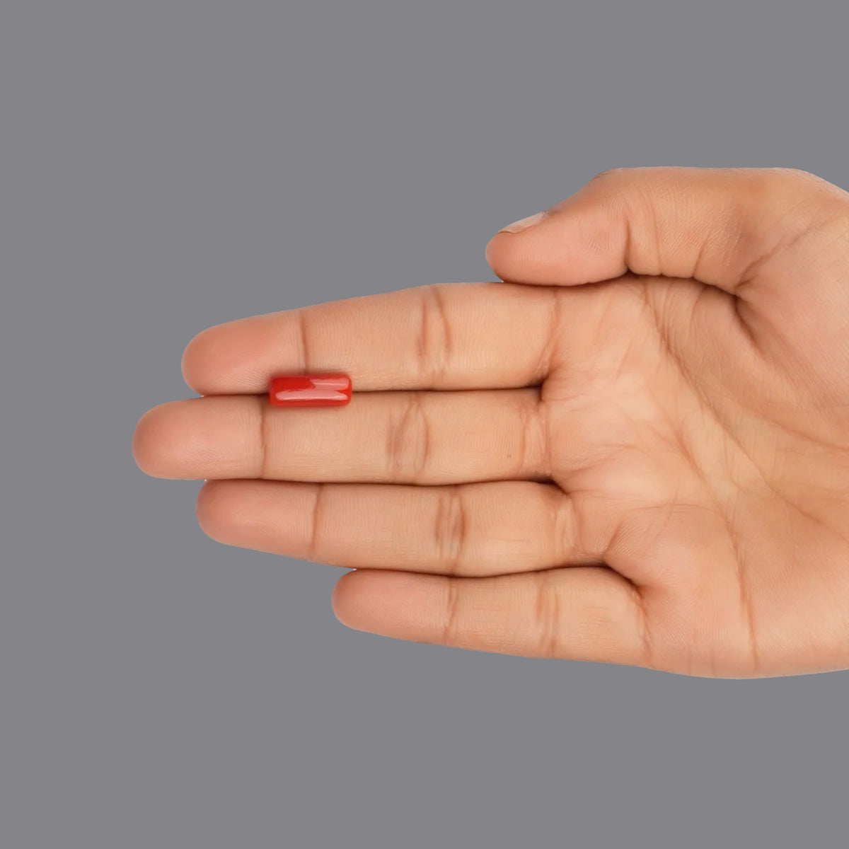 Red Coral - 3.44 Carats
