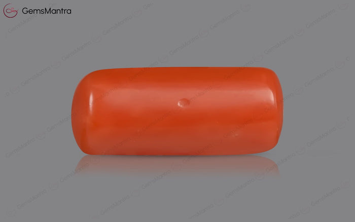 Red Coral - 3.55 Carats