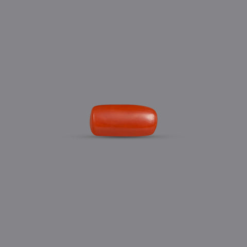 Red Coral - 3.62 Carats