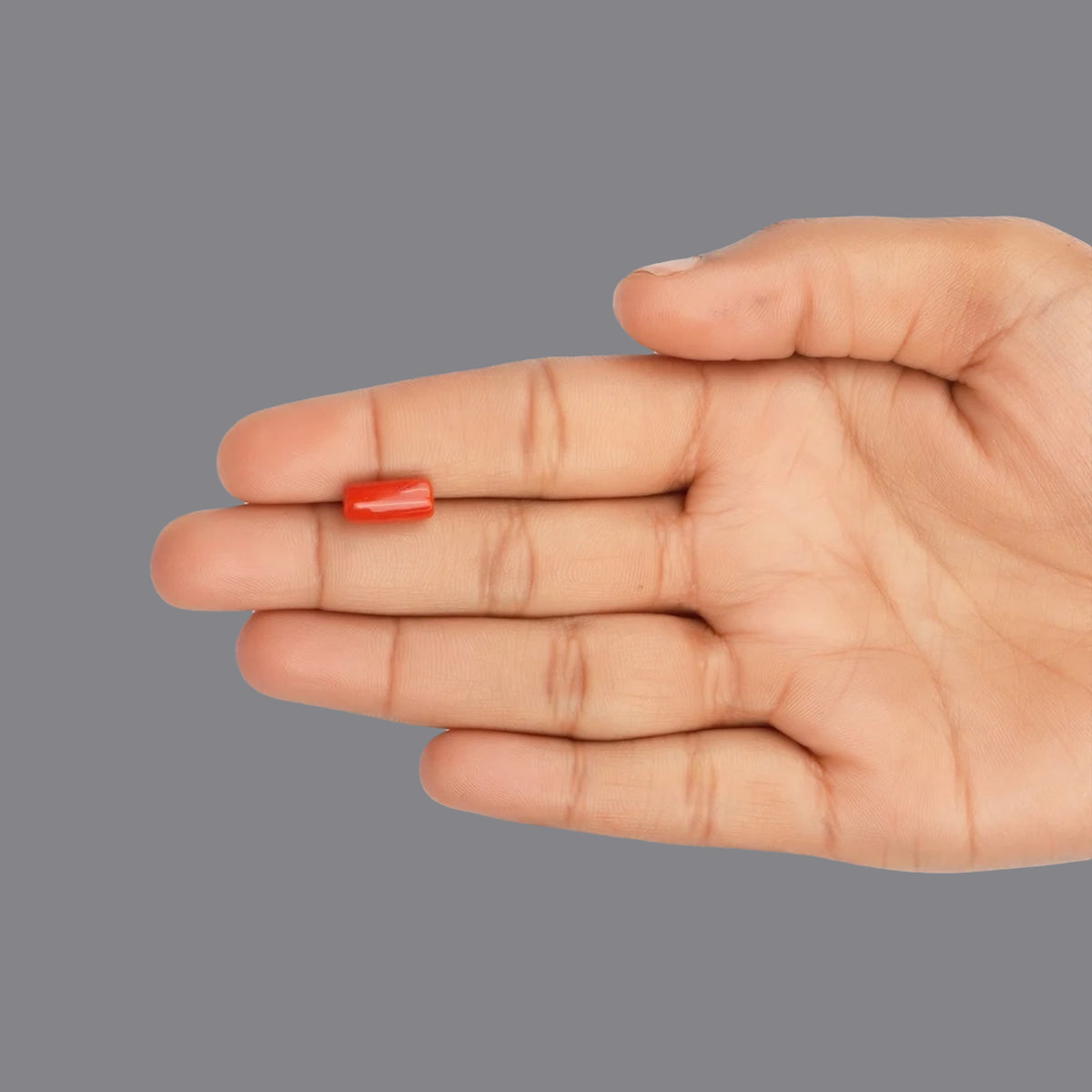 Red Coral - 3.62 Carats