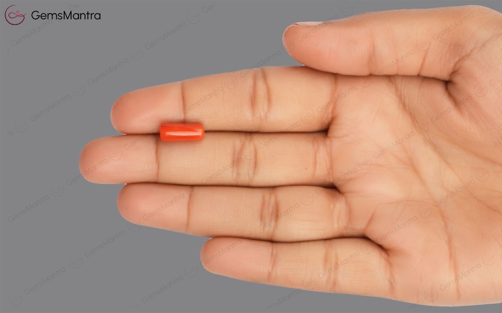 Red Coral - 3.64 Carats