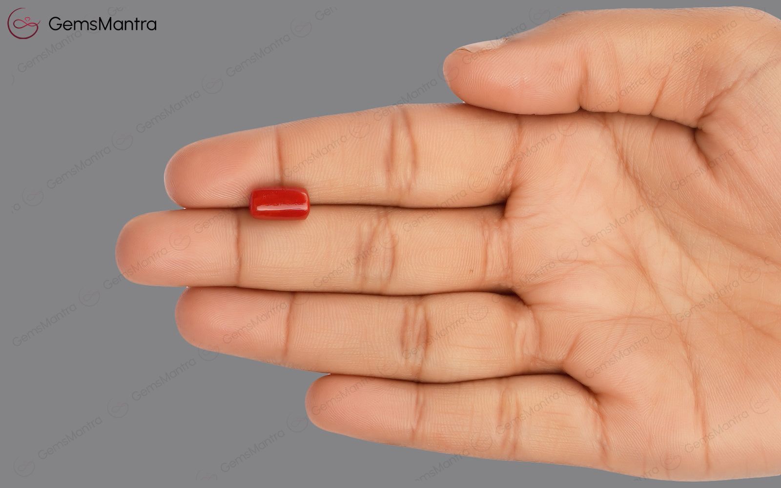Red Coral - 3.5 Carats