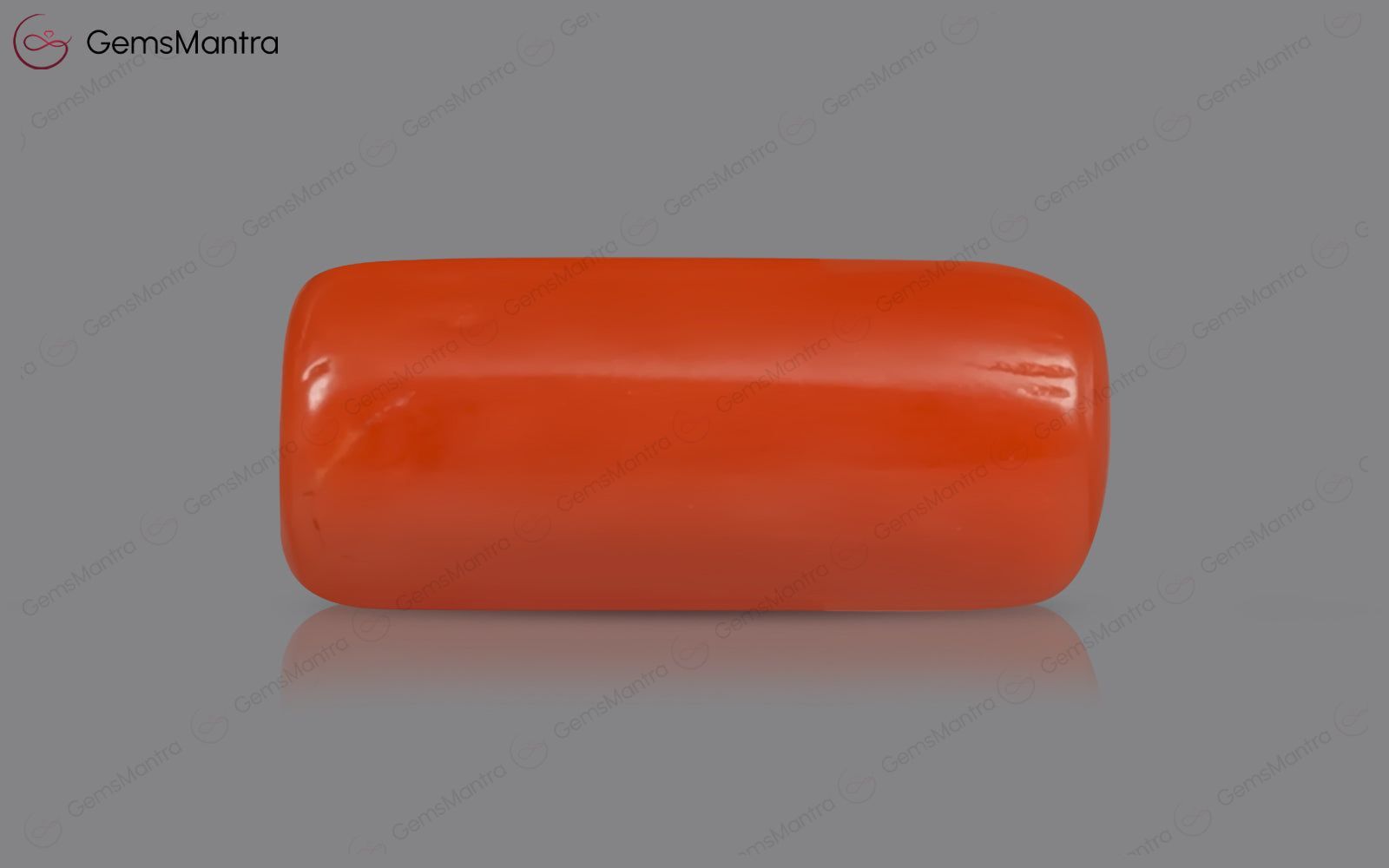 Red Coral - 3.51 Carats