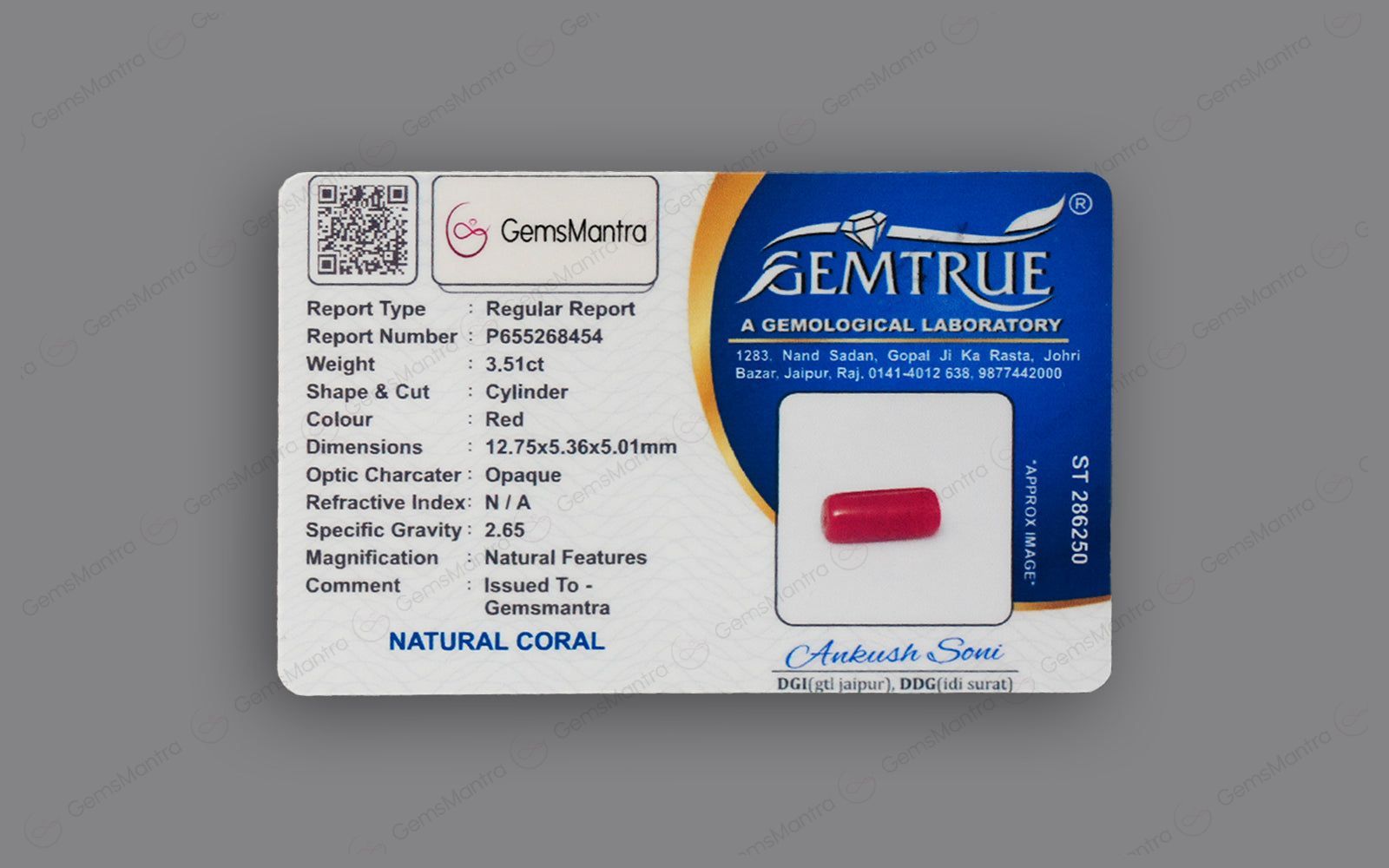 Red Coral - 3.51 Carats