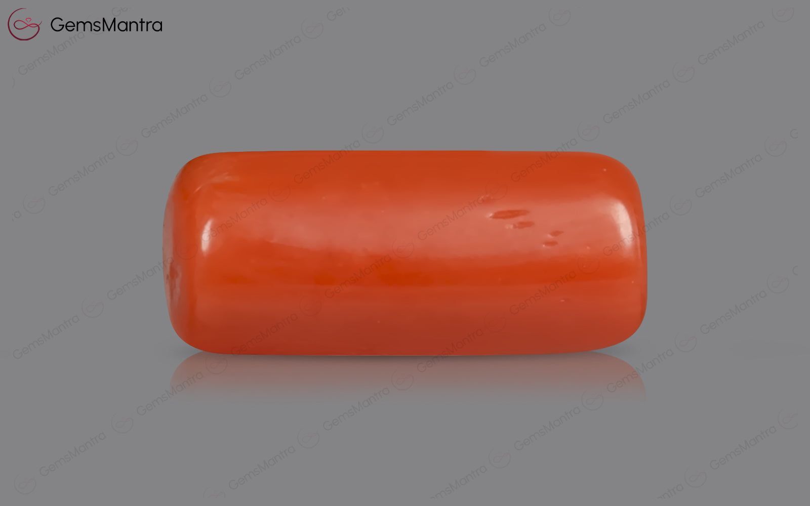 Red Coral - 3.51 Carats