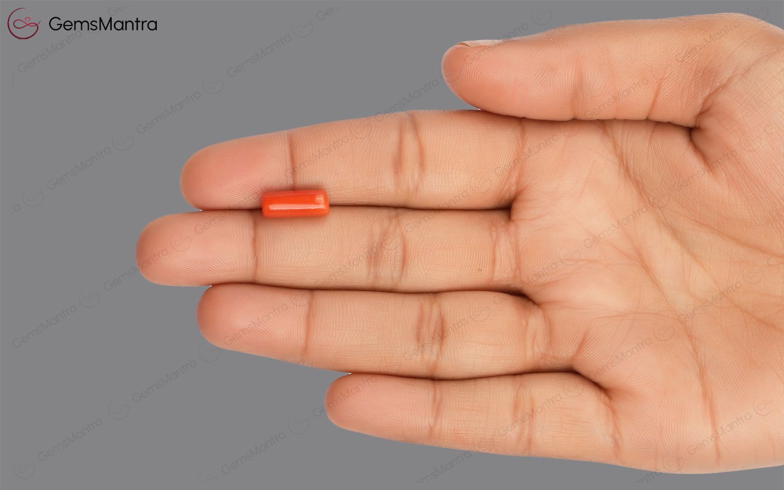 Red Coral - 3.51 Carats