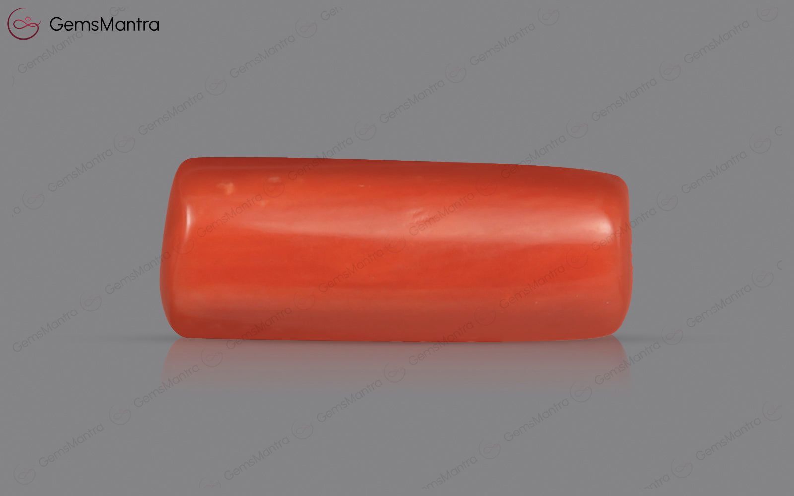 Red Coral - 3.52 Carats