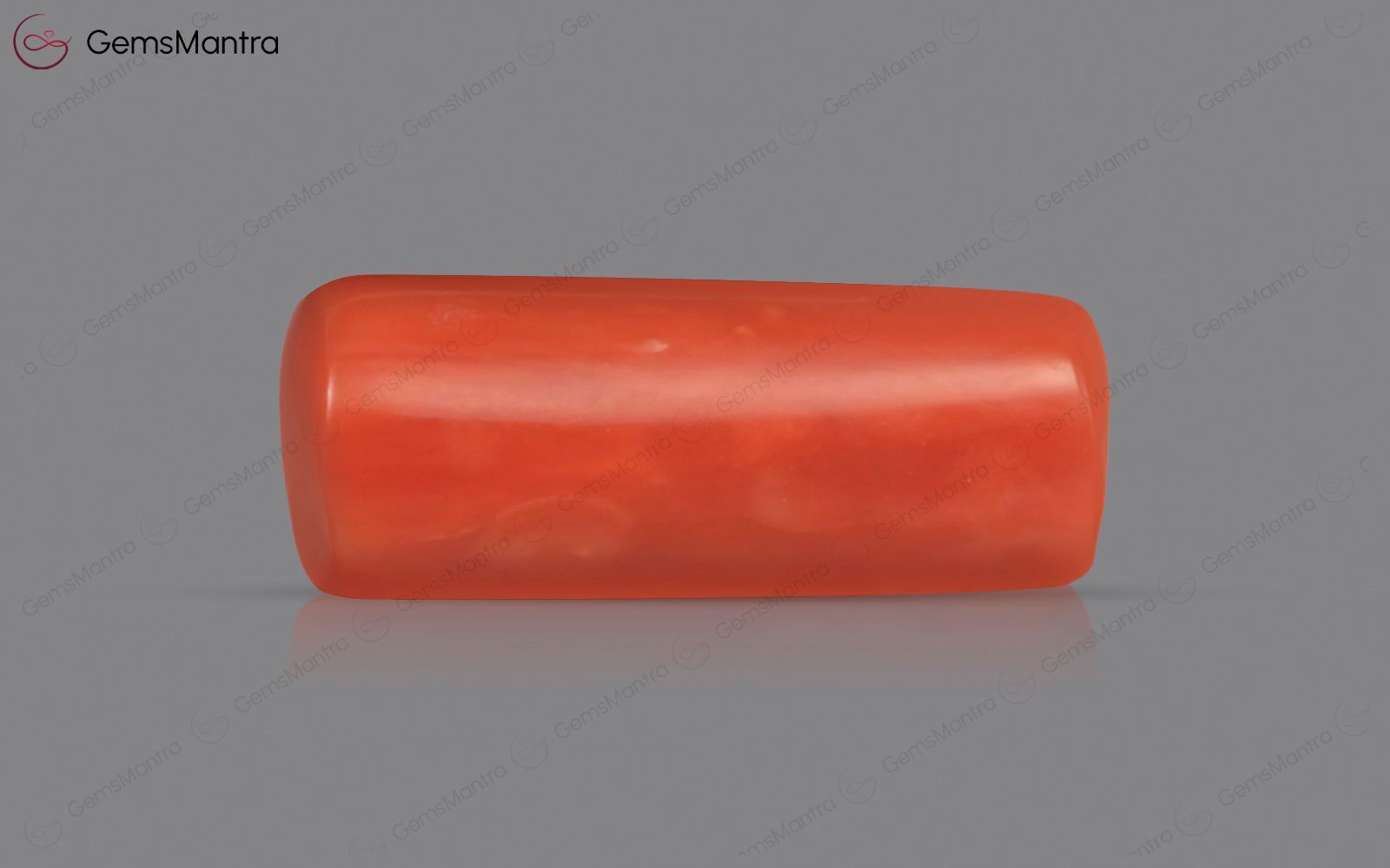 Red Coral - 3.52 Carats