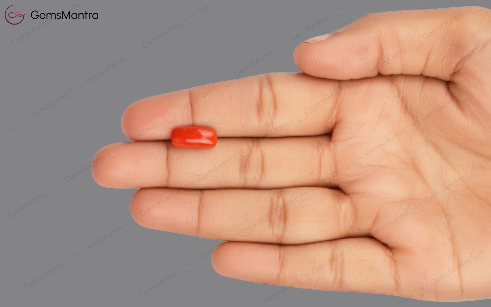 Red Coral - 3.52 Carats