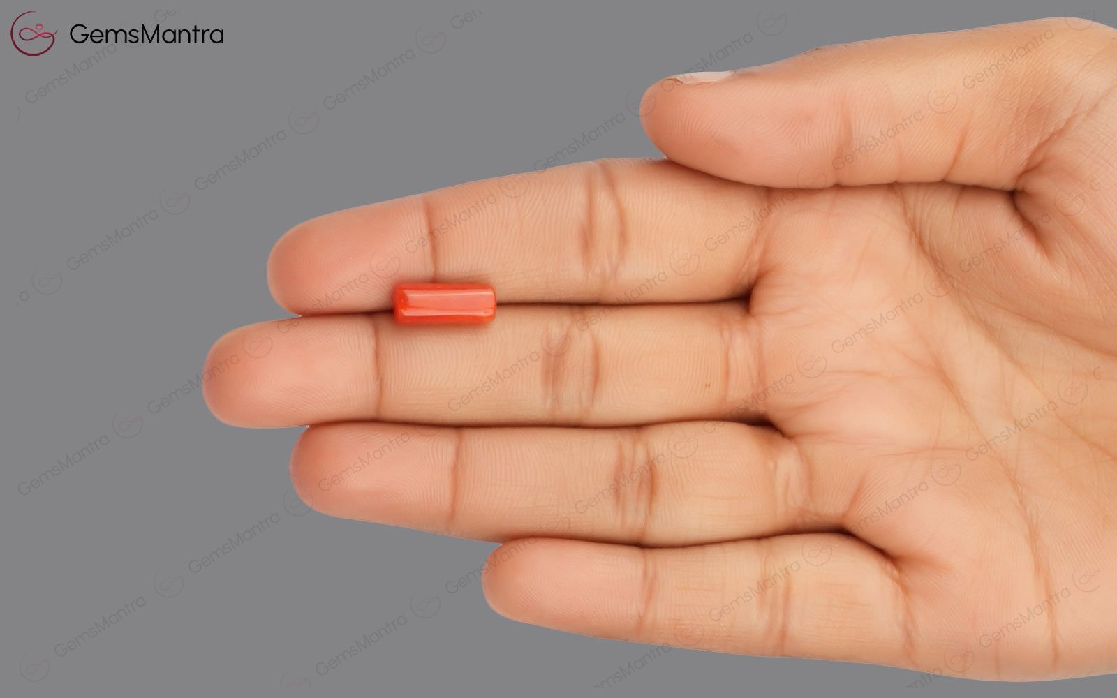 Red Coral - 3.47 Carats